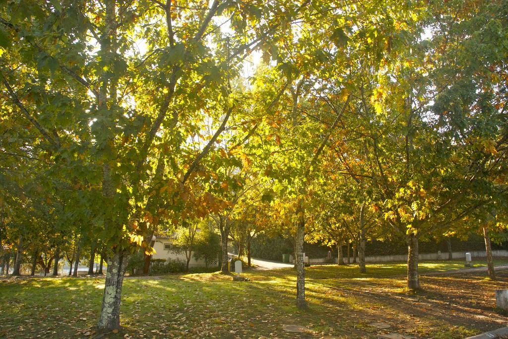 Gois Camping المظهر الخارجي الصورة