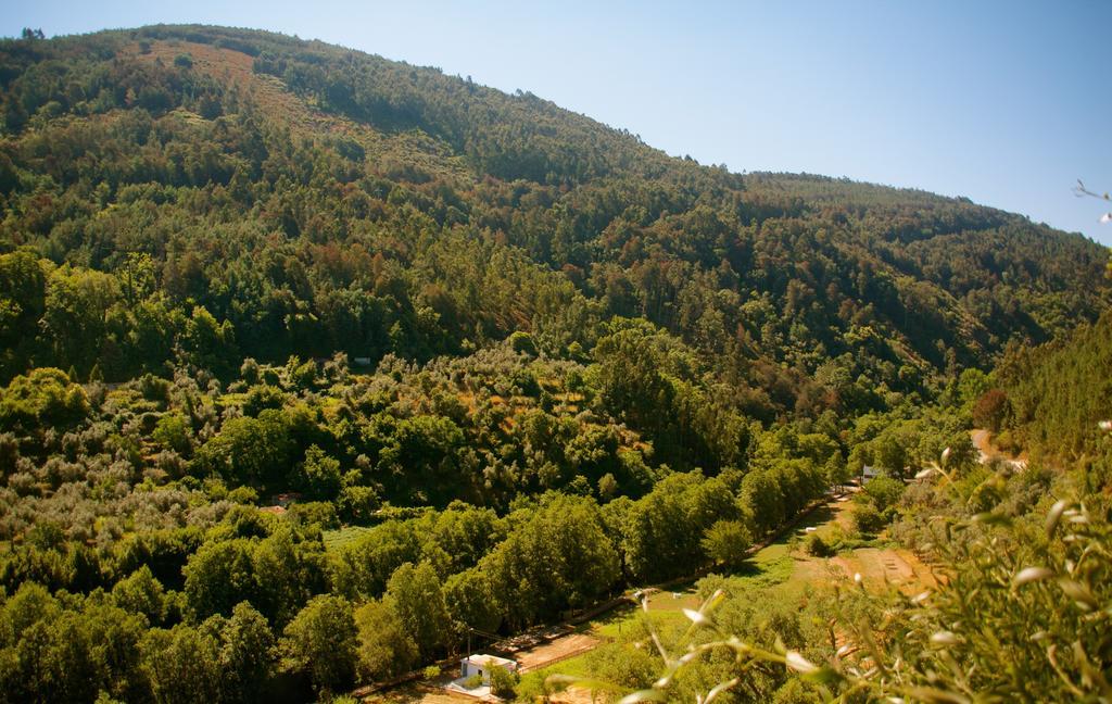 Gois Camping المظهر الخارجي الصورة